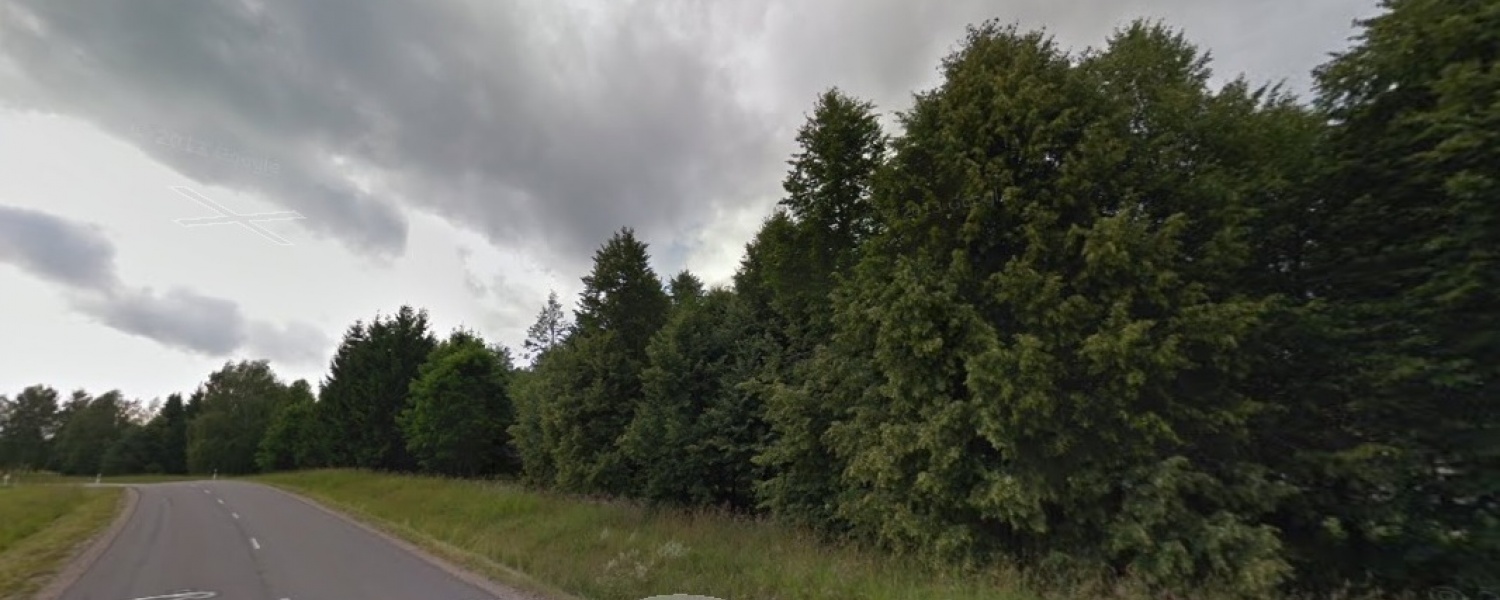 Liepų g., Mindūnų k., ,Sklypas,Parduodama,1033