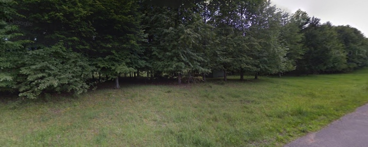 Liepų g., Mindūnų k., ,Sklypas,Parduodama,1033