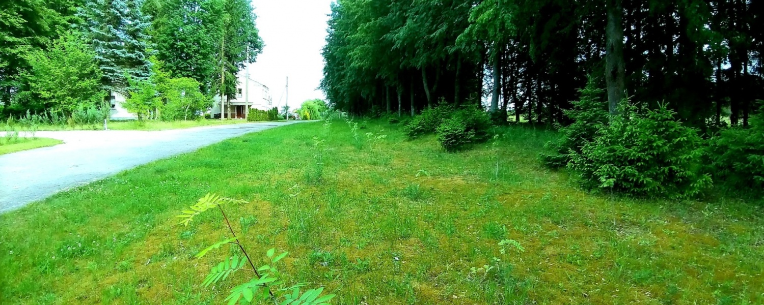 Liepų g., Mindūnų k., ,Sklypas,Parduodama,1033