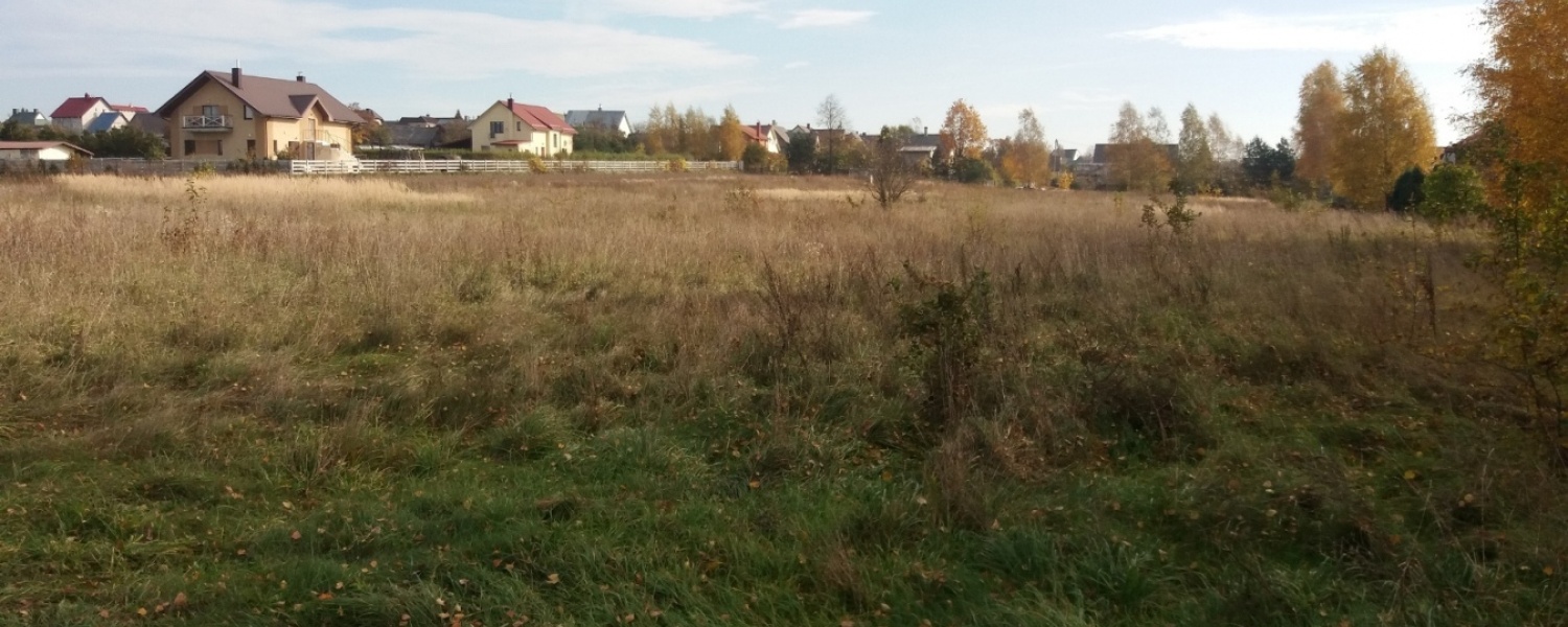 Jaunystės g., Rudaminos k., ,Sklypas,Parduodama,1041