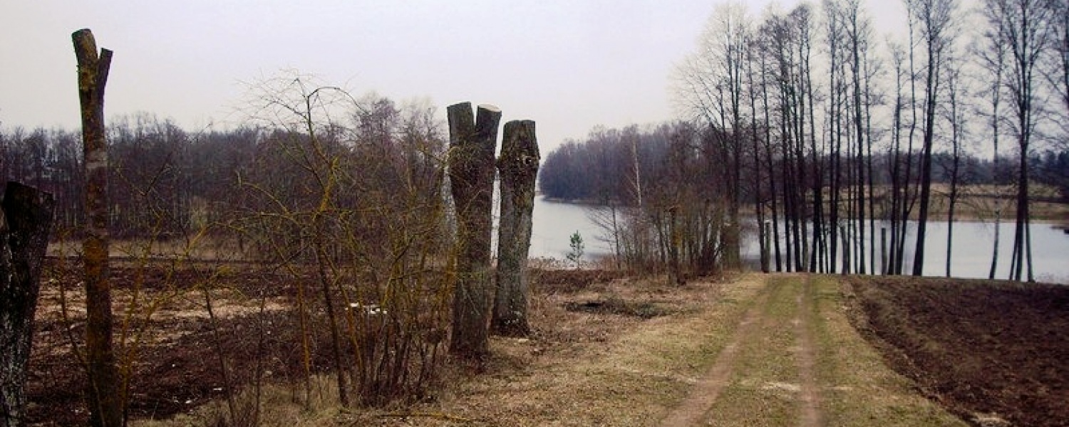 Krylių k., ,Sklypas,Parduodama,1044