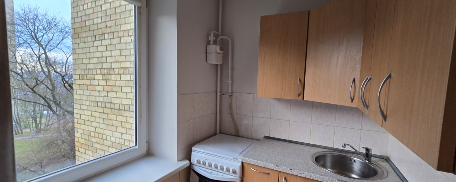 Naujininkai, 1 Room Rooms,1 BathroomBathrooms,Butas,Nuomuojama,1134
