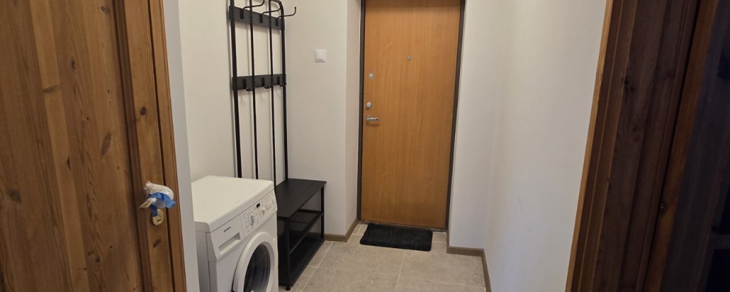 Naujininkai, 1 Room Rooms,1 BathroomBathrooms,Butas,Nuomuojama,1134