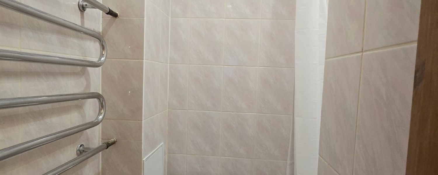 Naujininkai, 1 Room Rooms,1 BathroomBathrooms,Butas,Nuomuojama,1134
