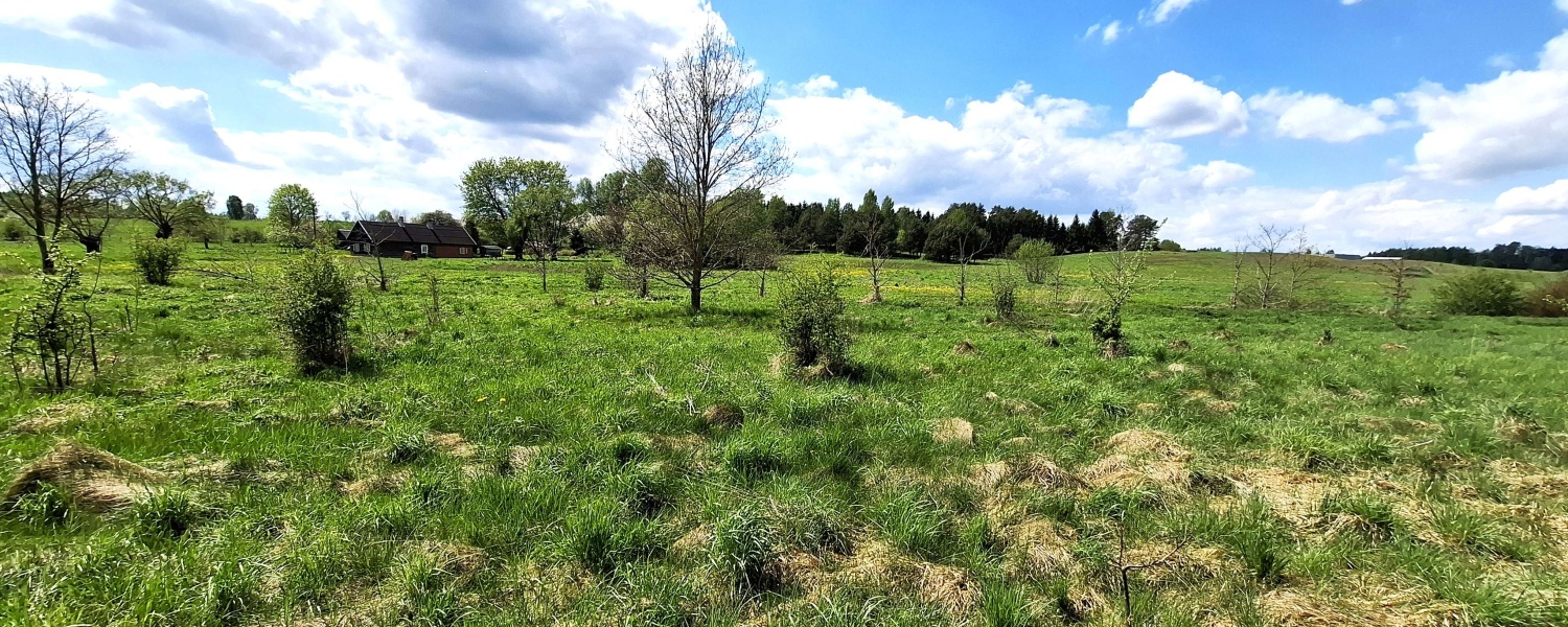 Salininkai, ,Sklypas,Parduodama,1137