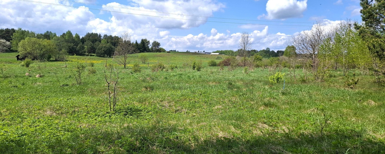 Salininkai, ,Sklypas,Parduodama,1137