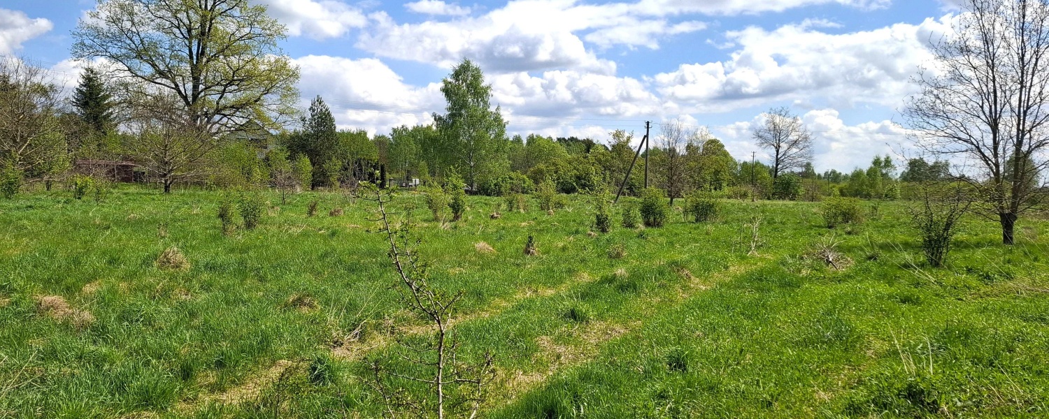 Salininkai, ,Sklypas,Parduodama,1137