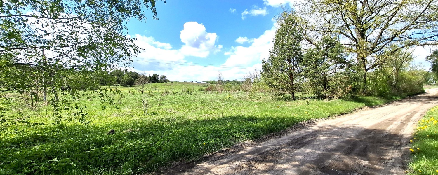 Salininkai, ,Sklypas,Parduodama,1137